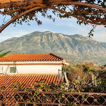 Bougainvillea House 2 カラマタ エクステリア 写真